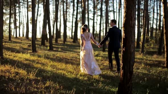 Beautiful Sunset Wedding