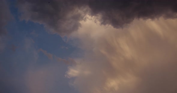 Cloud In The Form Of A Mushroom With Birds  Timelapse