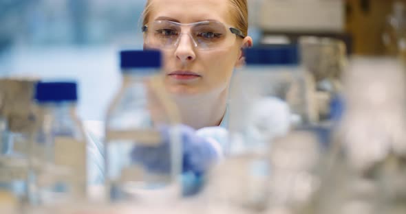 Scientist Working in Laboratory Microbiology