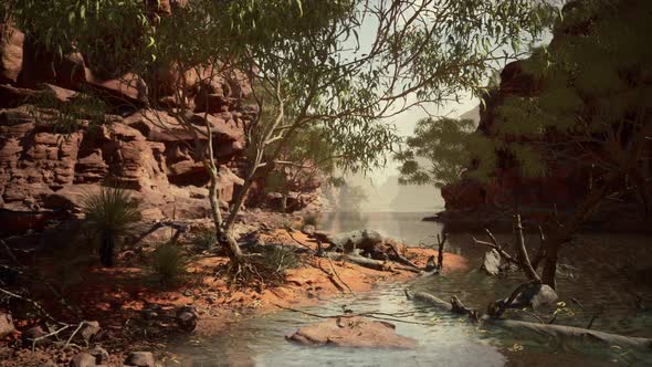 Colorado River with Gorgeous Sandstone Walls and Canyons