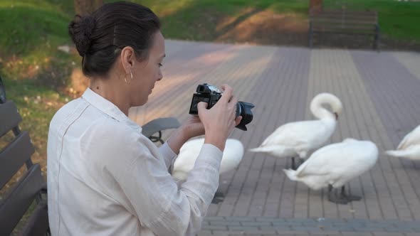 Photographer by swans. 