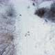 Aerial Drone View of Group of People Walking between Trees on a Field Covered with Winter Snow - VideoHive Item for Sale
