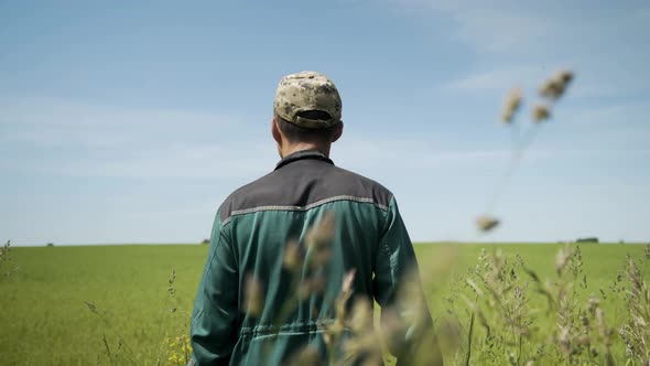 Male Farmer a Agronomist Walk Green Field of Wheat Grass