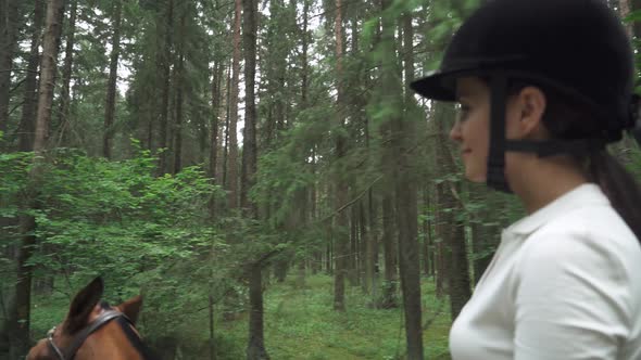 Summer Walk, Young Female on Horseback Riding in the Forest, Horsewoman Ride on a Horse.