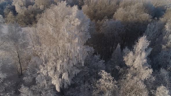 Winter Landscape in Countryside