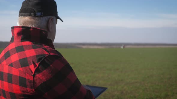 Senior Agronomist Man Looks at a Fresh Green Field After Winter. Smart Farming, Using Modern