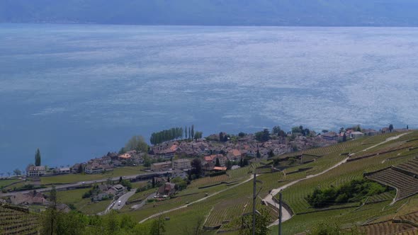 Landscape View of Montreux City with Swiss Alps, Lake Geneva and Vineyard. Switzerland