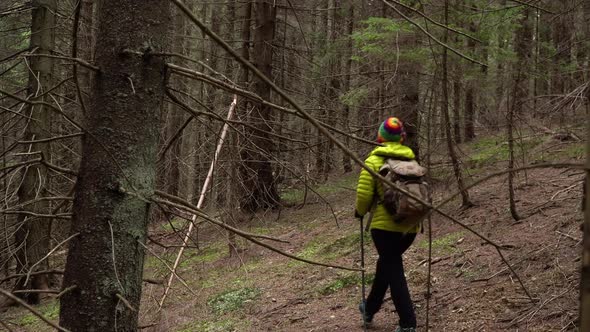 A Woman with a Backpack Travels in the Forest