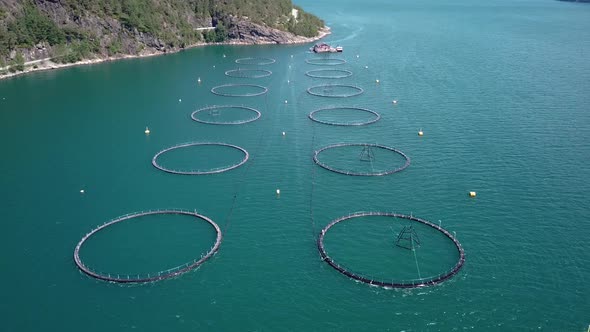 Aerial Footage Over Salmon Farm