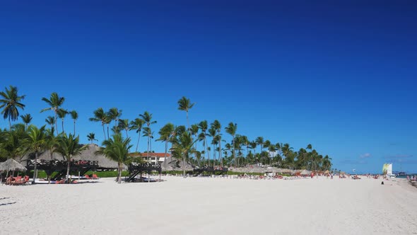 Coconut Palm Trees, Thatched Sun Umbrellas and Plastic Sunbeds on Tropical Beach