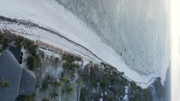 Vertical Video of the Ocean Near the Coast of Zanzibar Tanzania Aerial View