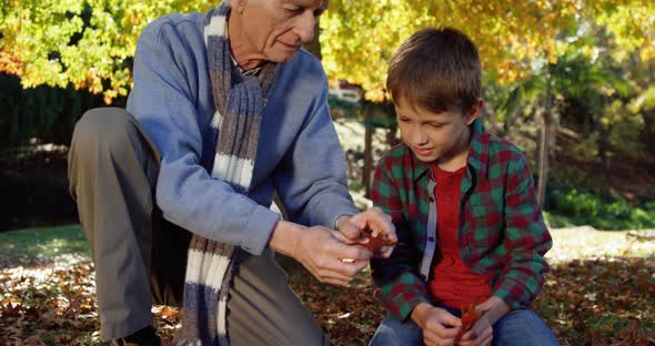 grandfather and grandson playing with leaves