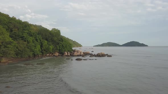 Rock at coastal near green forest.