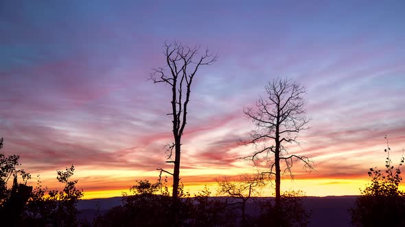 Sunrise time lapse of dead trees silhouetted on colorful sky