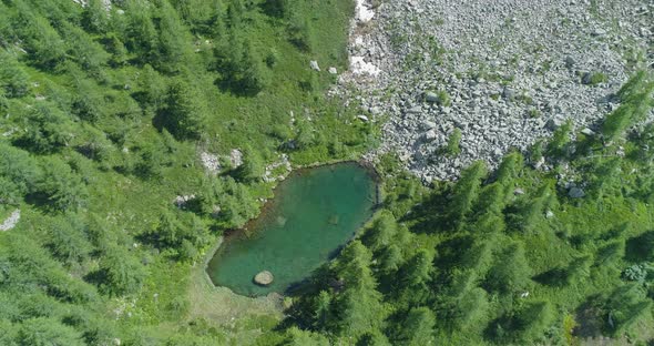 Approaching Overhead Clear Blue Lake and Pine Woods Forest in Sunny Summer Day