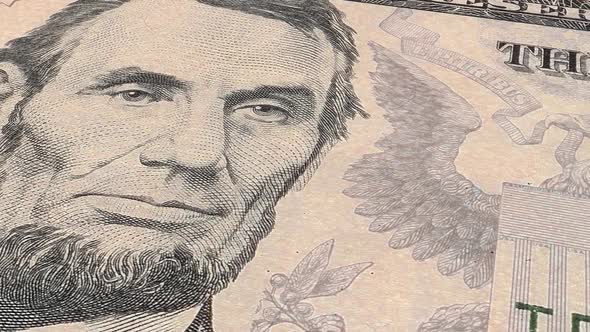 Dollar Bill Close up