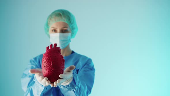 Surgeon Preparing for Complicated Heart Disease Related Procedure By Holding Artificial Red Heart