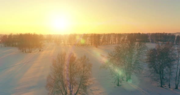 Aerial Drone View of Cold Winter Landscape with Arctic Field, Trees Covered with Frost Snow