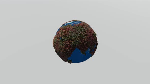 Earth rotates