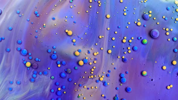 Bubble Liquid Floats in a Paint. Mixing of Paint, Oil and Milk. Gorgeous Colorful and Bright