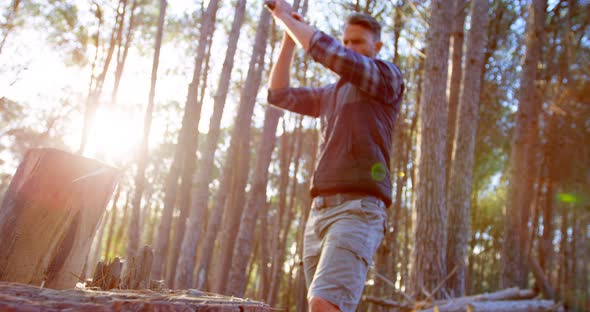 Male logger chopping wood with an axe in the forest 4k