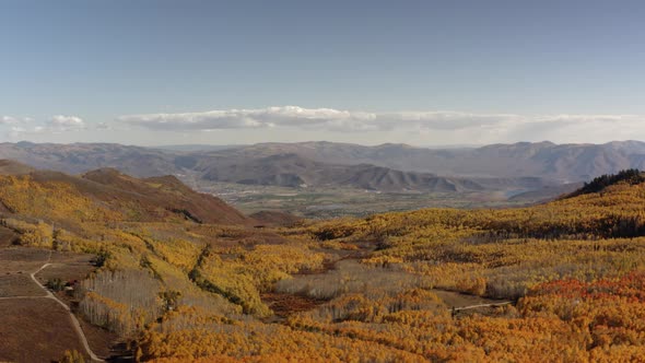 The colorful changing tree colors of Norther Utah. The yellow trees shown in the fall in the mountai