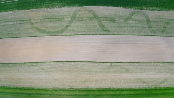 Farm Fields Top View