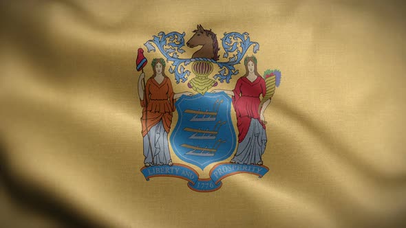 New Jersey State Flag Blowing In Wind