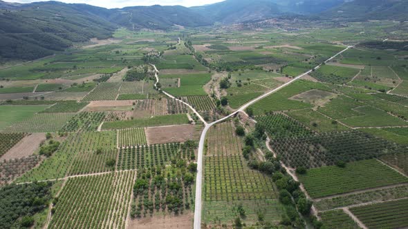 Aerial Farmland and Road