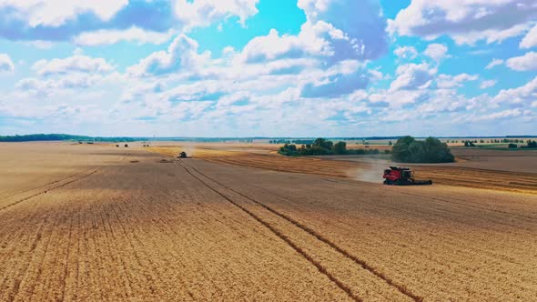 Beautiful wheat field. Aerial view of combine harvester harvesting wheat