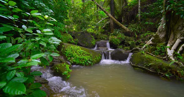 Beautiful Close-up Waterfall in Rain Forest. Nature and travel concept.