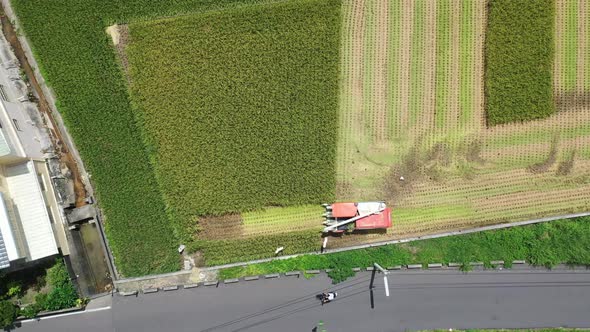 Aerial drone footage Cultivated rice paddy field, farmer harvesting the crops with multifunctional p