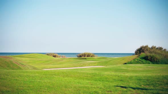 Green Hilly Meadow with a Bright Lawn Against the Background of the Sea