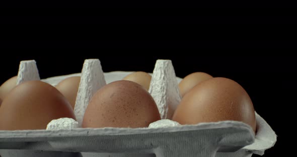 box of 10 chicken  eggs super macro closeup 