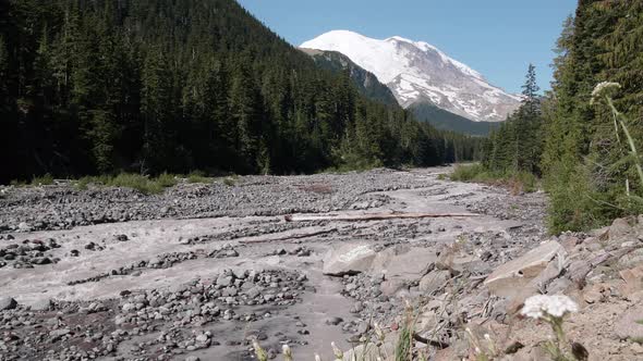 White River In Mt Rainier National Park