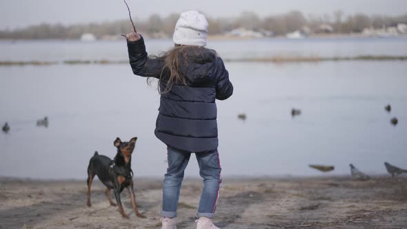 Back View of Little Girl Throwing Branch for Pet on Riverbank. Caucasian Child Training Pet Outdoors