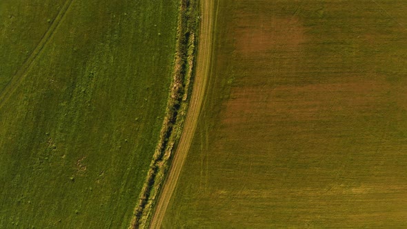 Countryside fields road