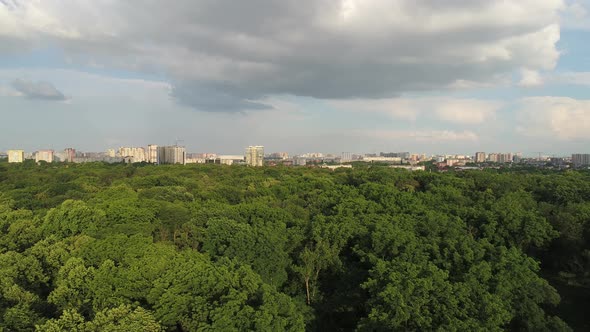 Aerial View Green Trees Park Against the Background of the City