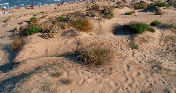 Drone Flies Low Over Dunes Overlooking Wild Beach and Toursit Enjoying of Summer