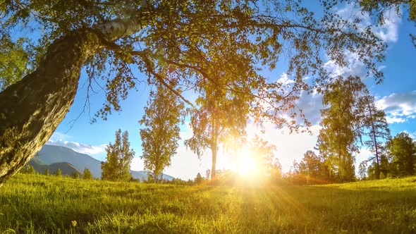 Mountain Meadow Time-lapse at the Summer or Autumn Time. Wild Nature and Rural Field. Motorised