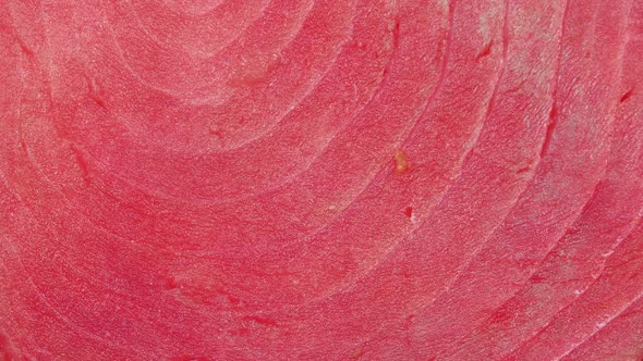 Piece of Tuna Fish Rotating Background. Raw Tuna Steak is the Most Dietary Fish in the World. Piece 