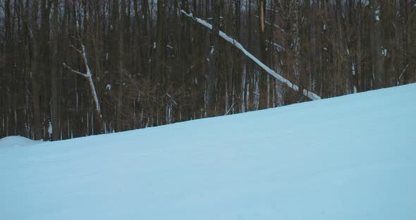 Professional Snowboarder Slides Off a Snowy Slope