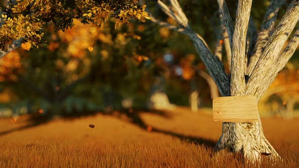 Wooden Sign In Autumn Forest alt