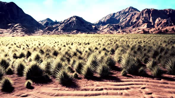 Desert Landscape in Crater National Park