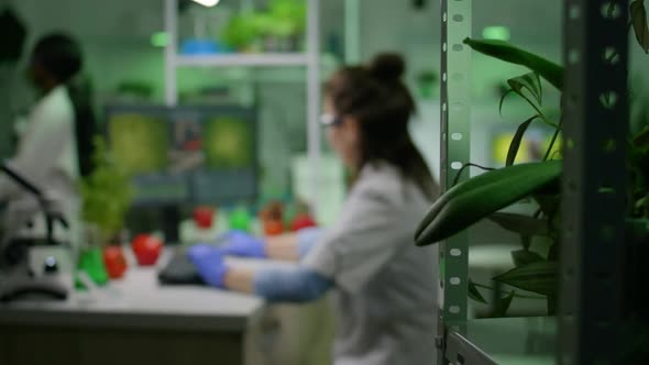 Front View of Woman Researcher Analyzing Petri Dish with Vegan Meat