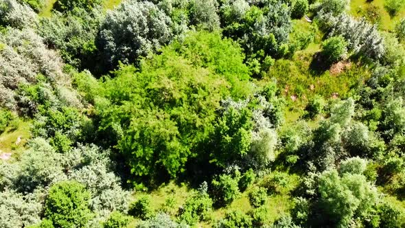 Aerial drone view of a flying over the rural agricultural landscape.