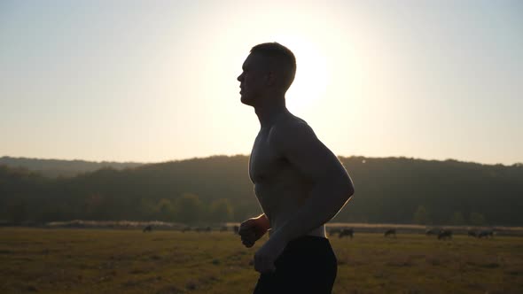 Young Muscular Man Running Through Field with Sunset at Background. Strong and Hardy Sportsman
