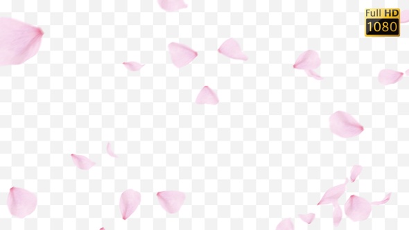 Pink Rose Floating alt