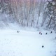 Walk In The Winter Forest - VideoHive Item for Sale