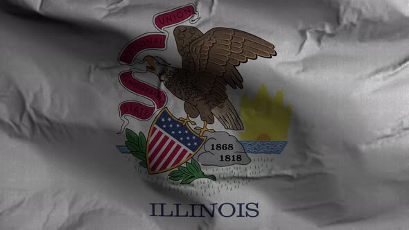 Illinois State Flag 4K